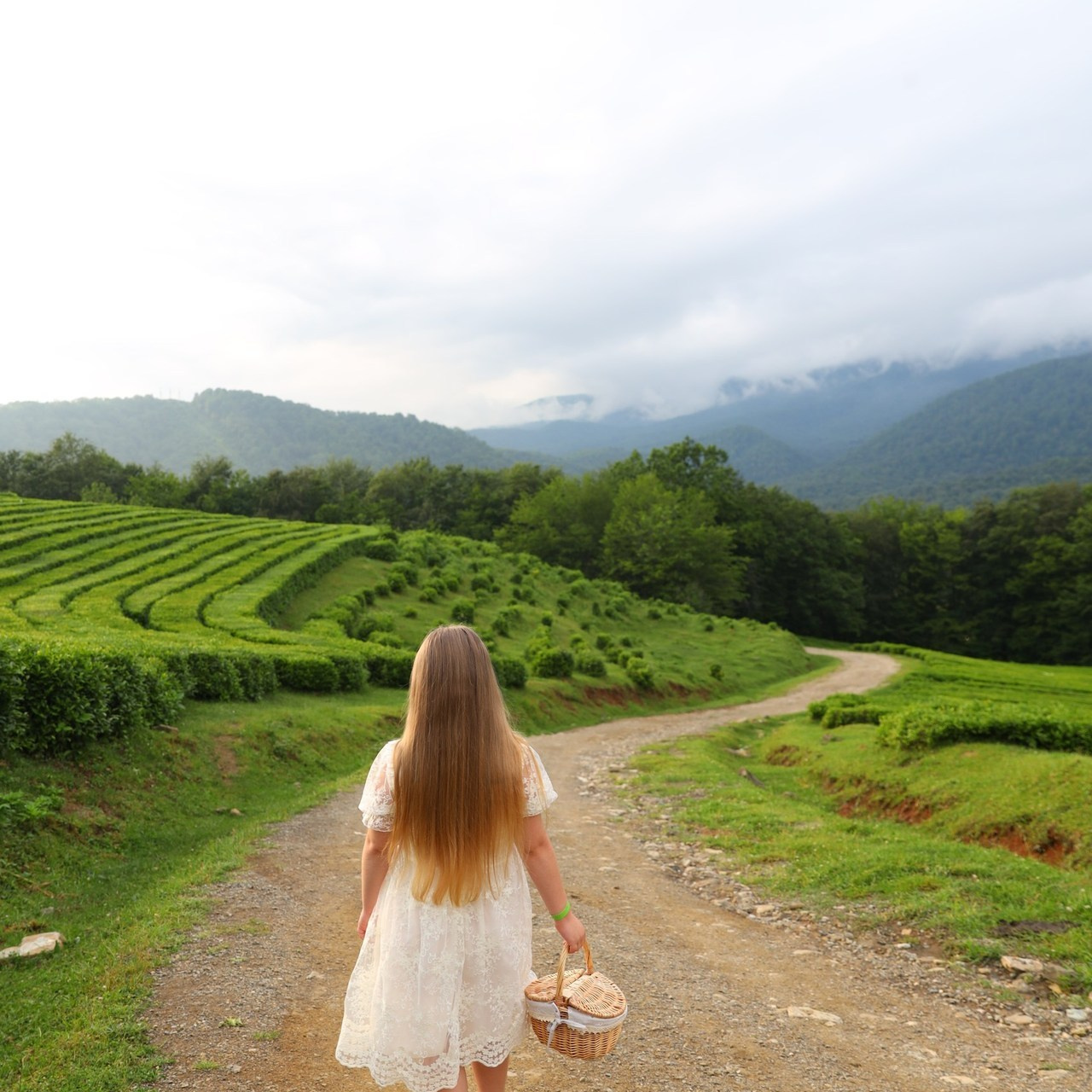 Отзывы. Фотограф в Сочи. Свадебная видеосъемка Сочи