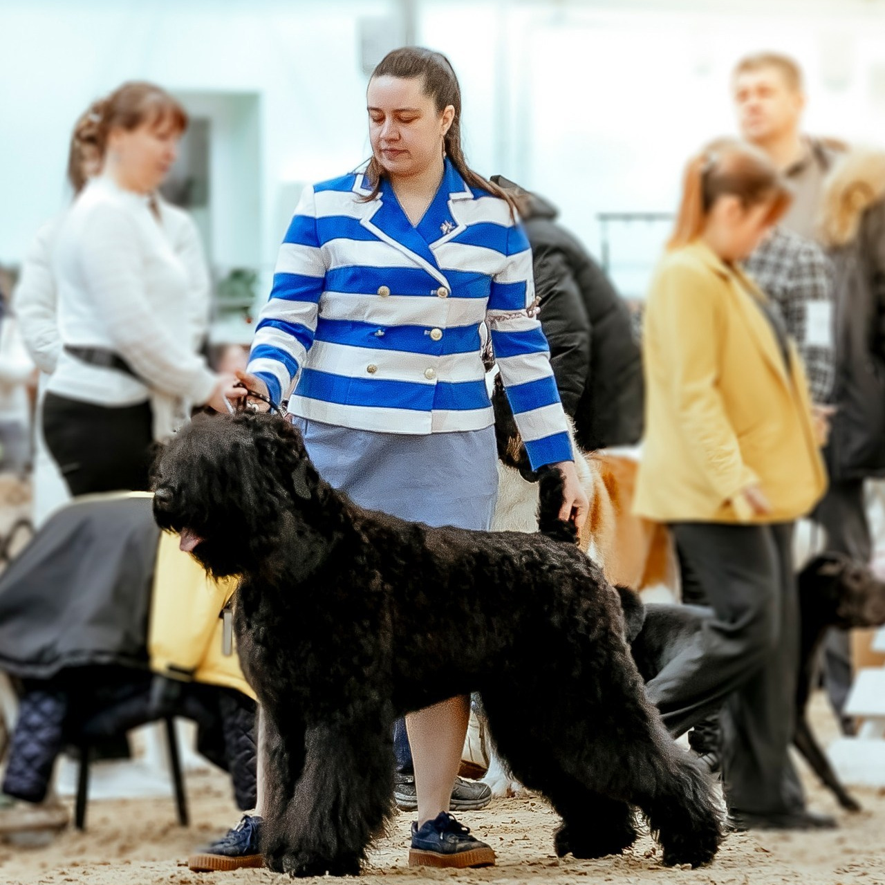 Отзывы. Фотограф — видеограф Алиса Дружинина