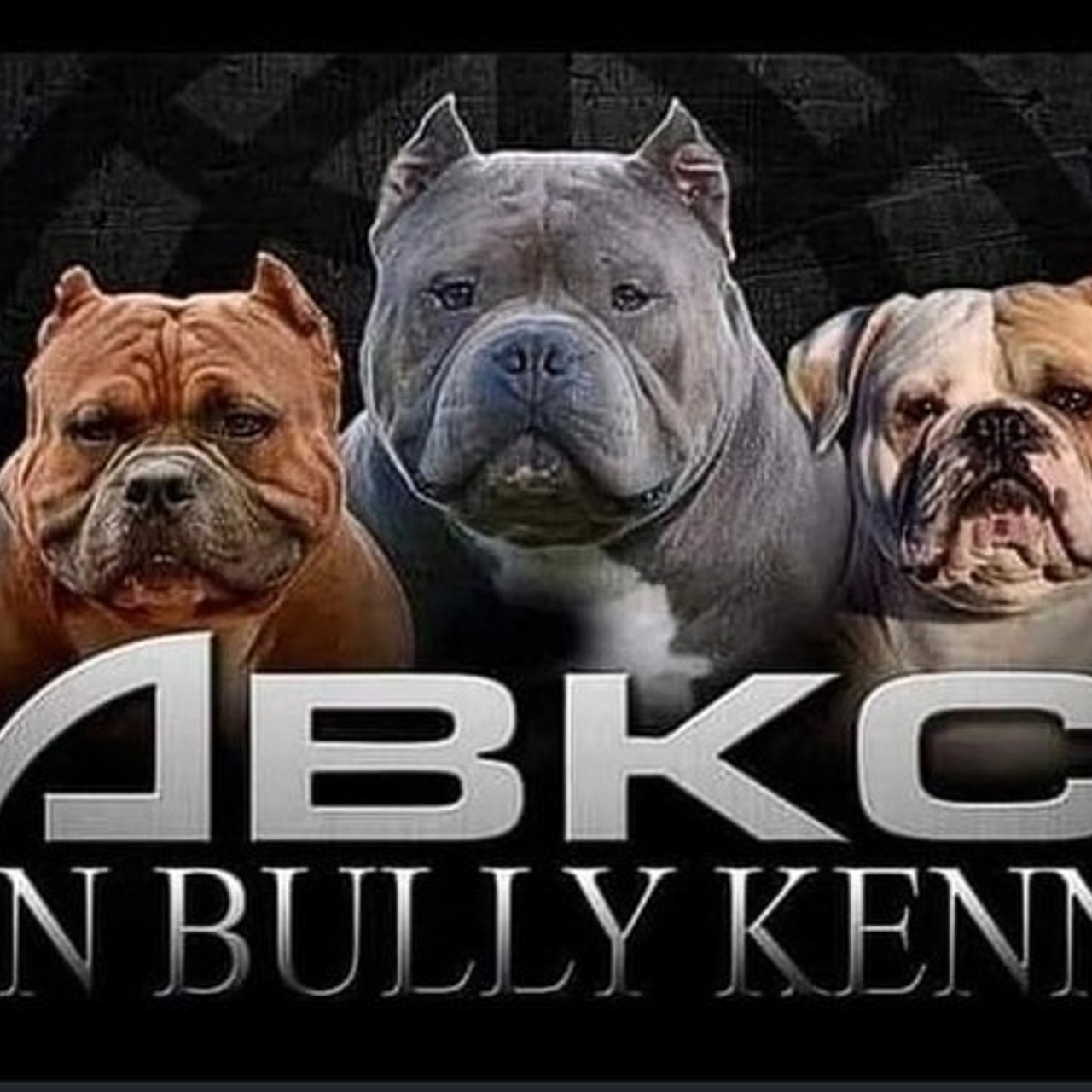 Отзывы. Фотограф — видеограф Алиса Дружинина