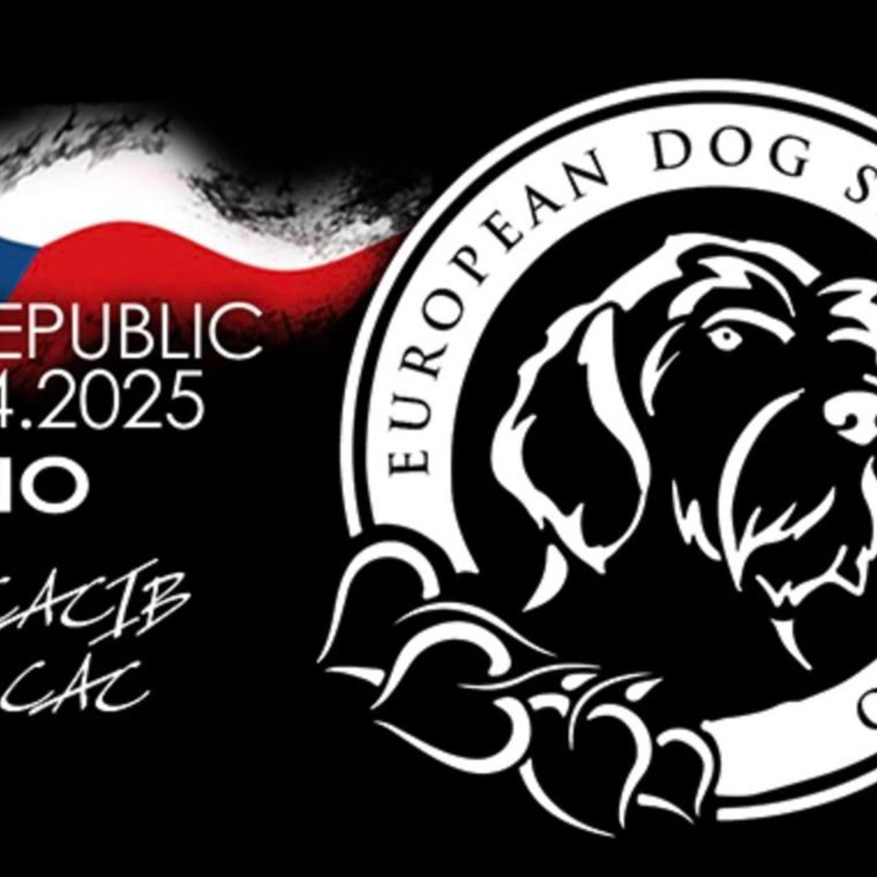 Отзывы. Фотограф — видеограф Алиса Дружинина