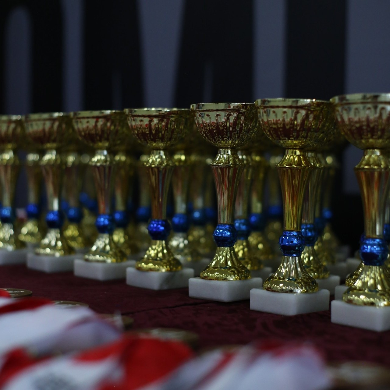 Отзывы. Коммерческий фотограф. Ростов-на-Дону. Дарья Константинова