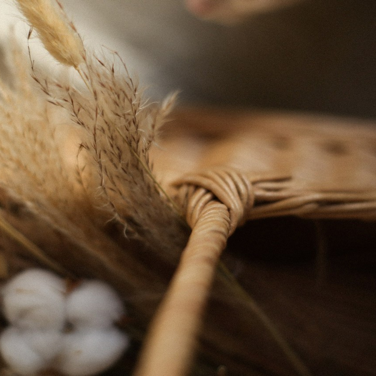 Отзывы. Коммерческий фотограф. Ростов-на-Дону. Дарья Константинова