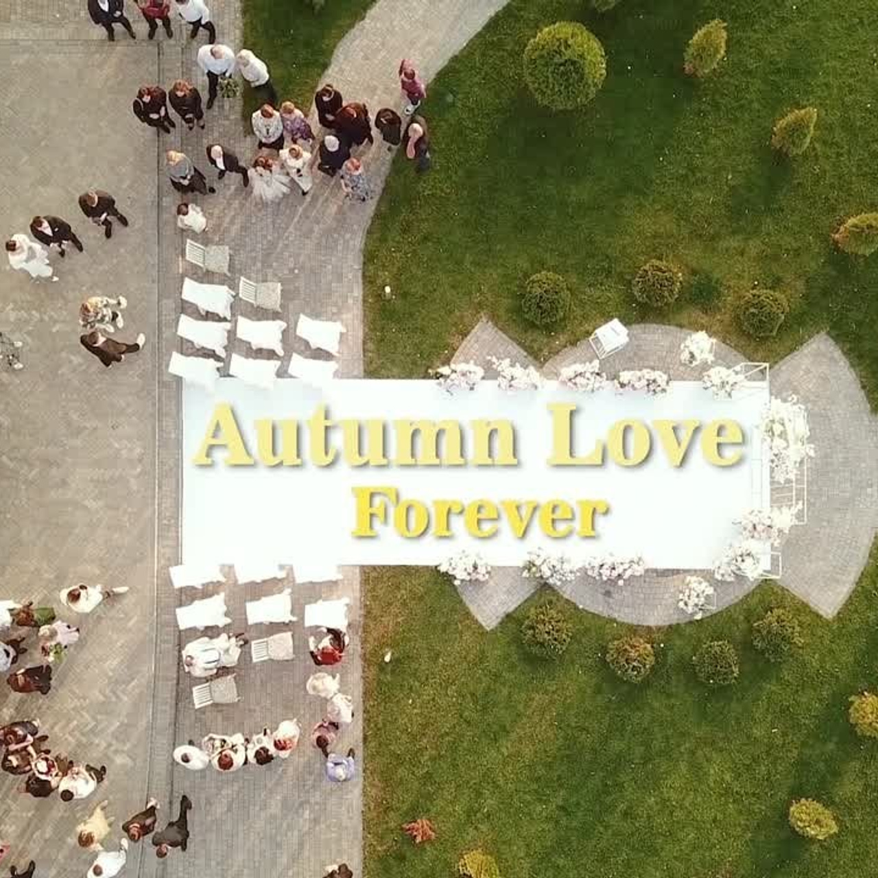 Мои видео работы. Ниндзя с камерой