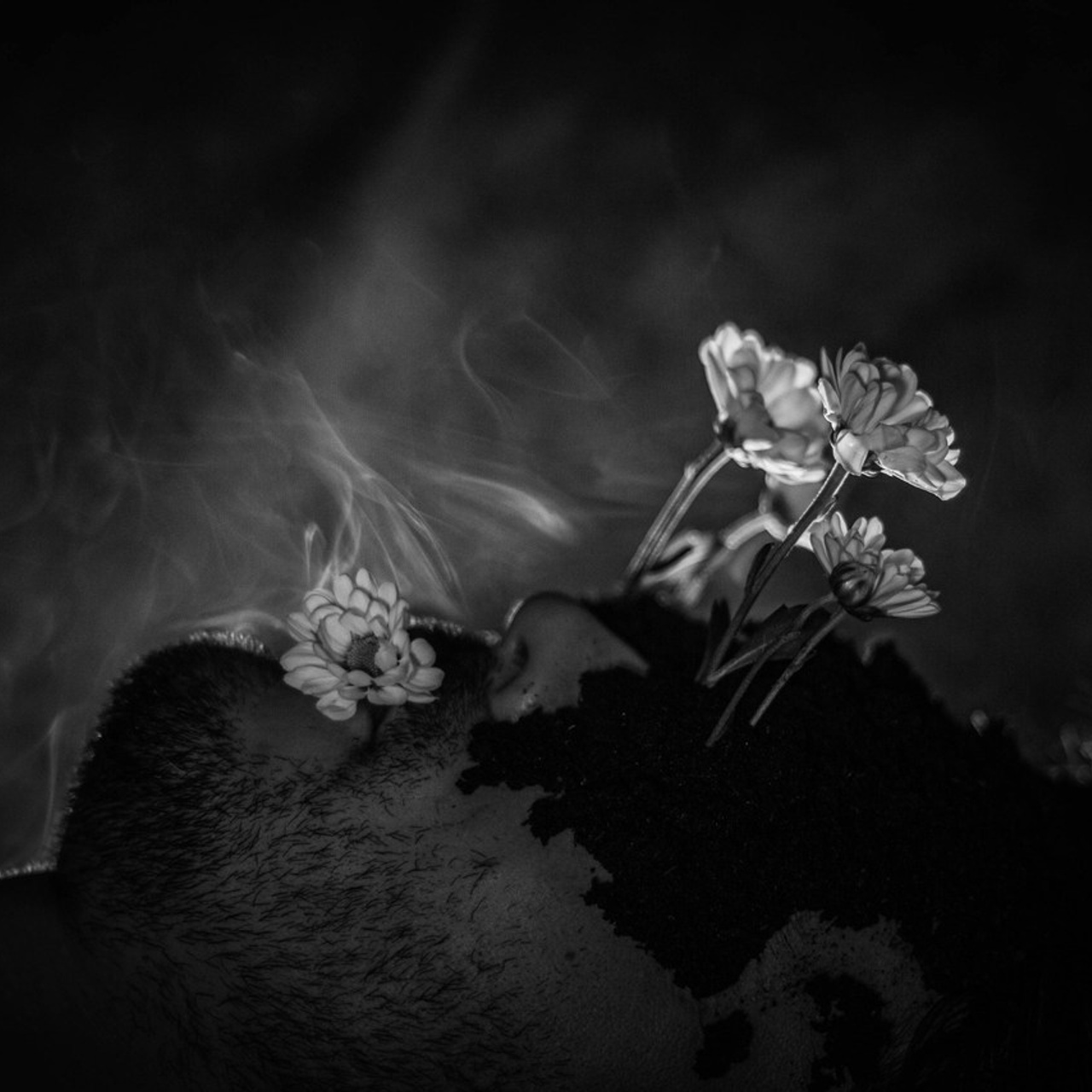 Фотограф и визуальный художник в Москве и МО Громова Анастасия