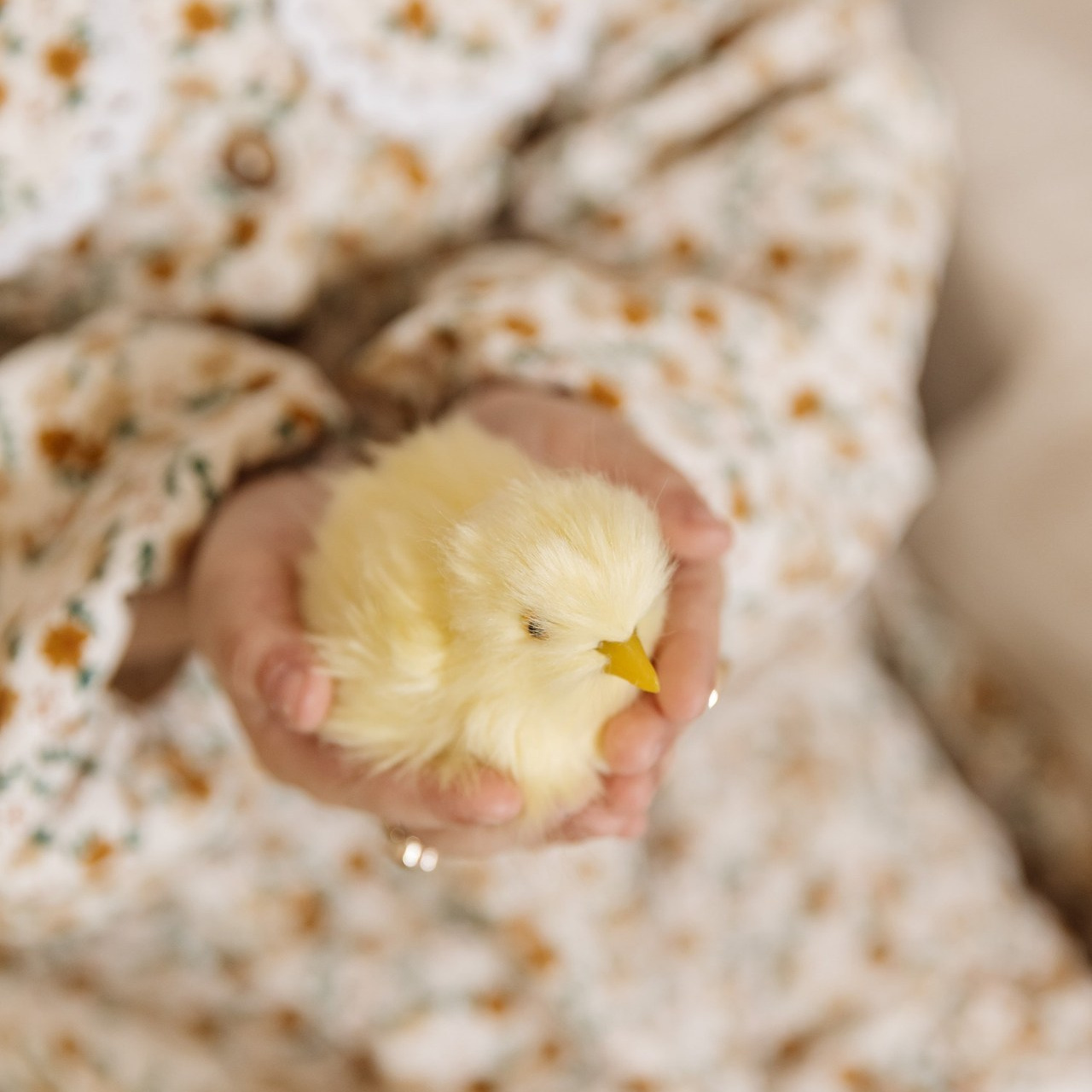 Отзывы. Свадебный и семейный фотограф в Волгограде Анастасия Кошенскова