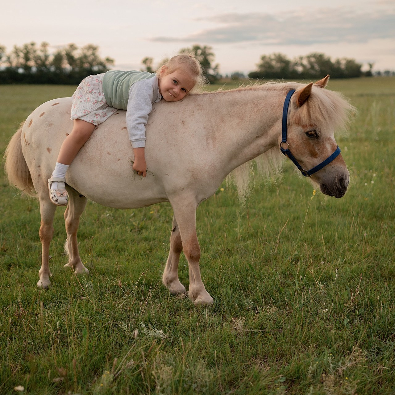 Отзывы. Семейный и детский фотограф в Санкт-Петербурге