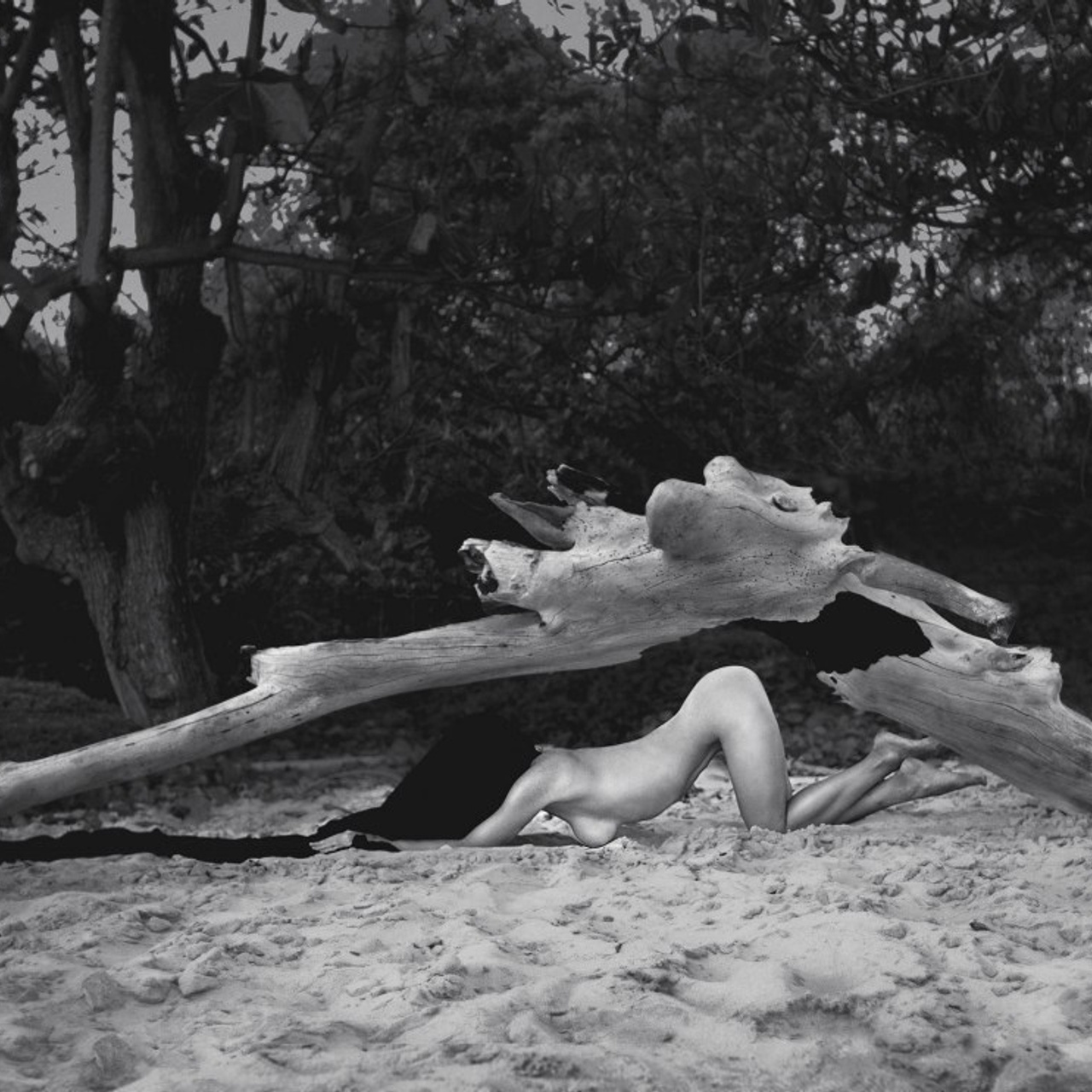 - фотосессии в эксклюзивных образах в  СПб и Москве. провожу регулярны. Фотограф Облако Александра