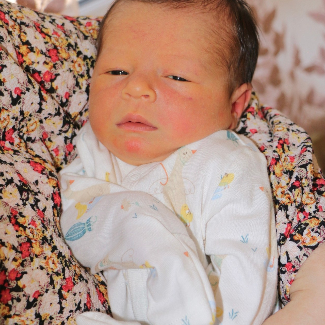 Отзывы. Семейный и детский фотограф в Ялте Ольга Солерина