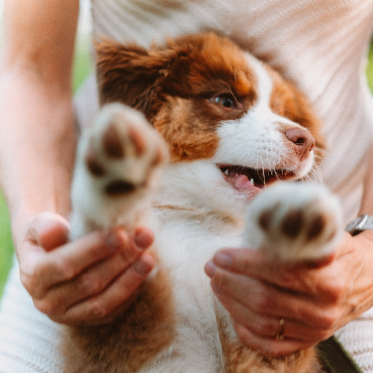 Отзывы. Репортажный фотограф в Санкт-Петербурге Никита Лу