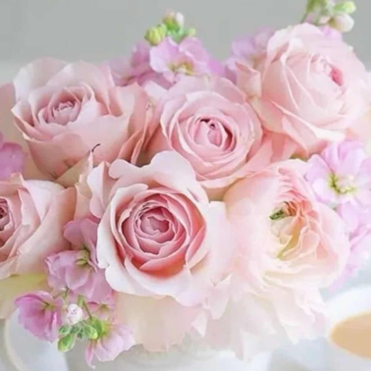 Отзывы. Фотограф в Москве Елена Дроздова