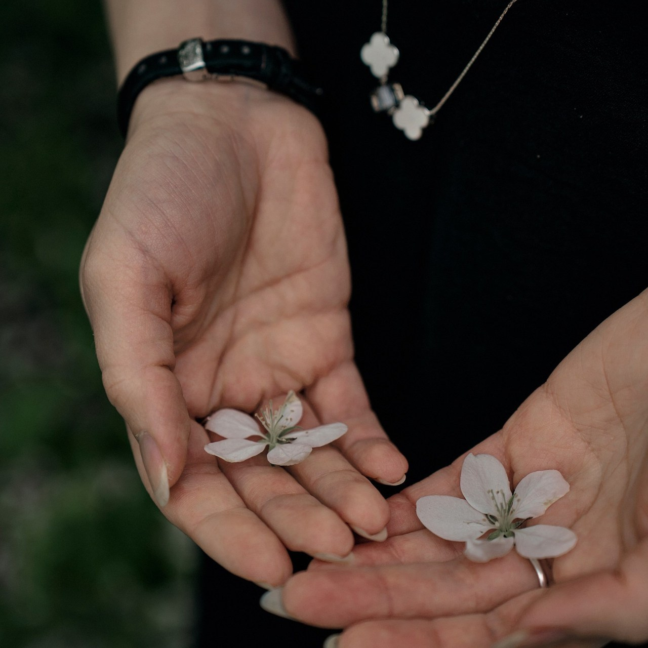 Отзывы. Ваш фотограф Анастасия Болотникова