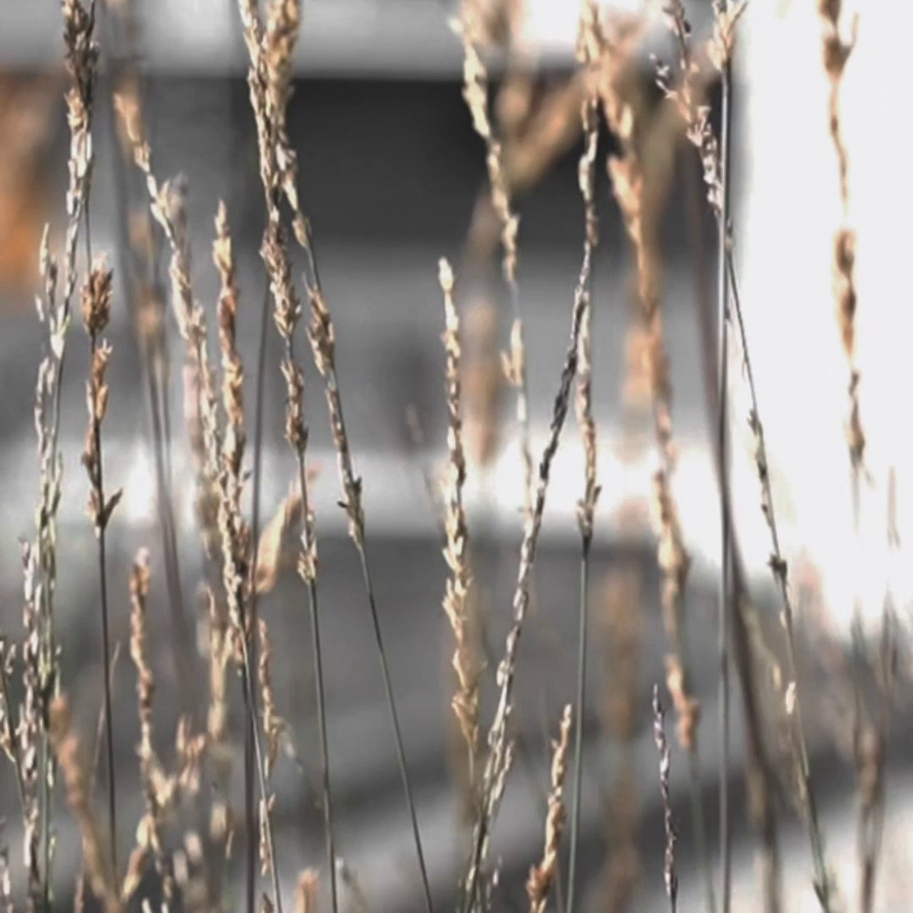 Отзывы. Ваш фотограф Анастасия Болотникова