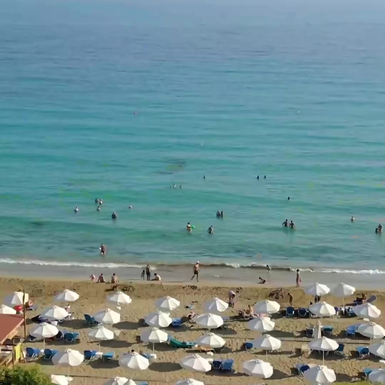 Короткий формат. Видеограф Добромыслов