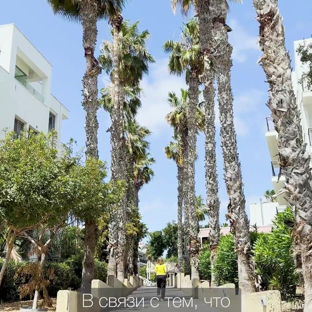 Недвижимость. Видеограф Добромыслов