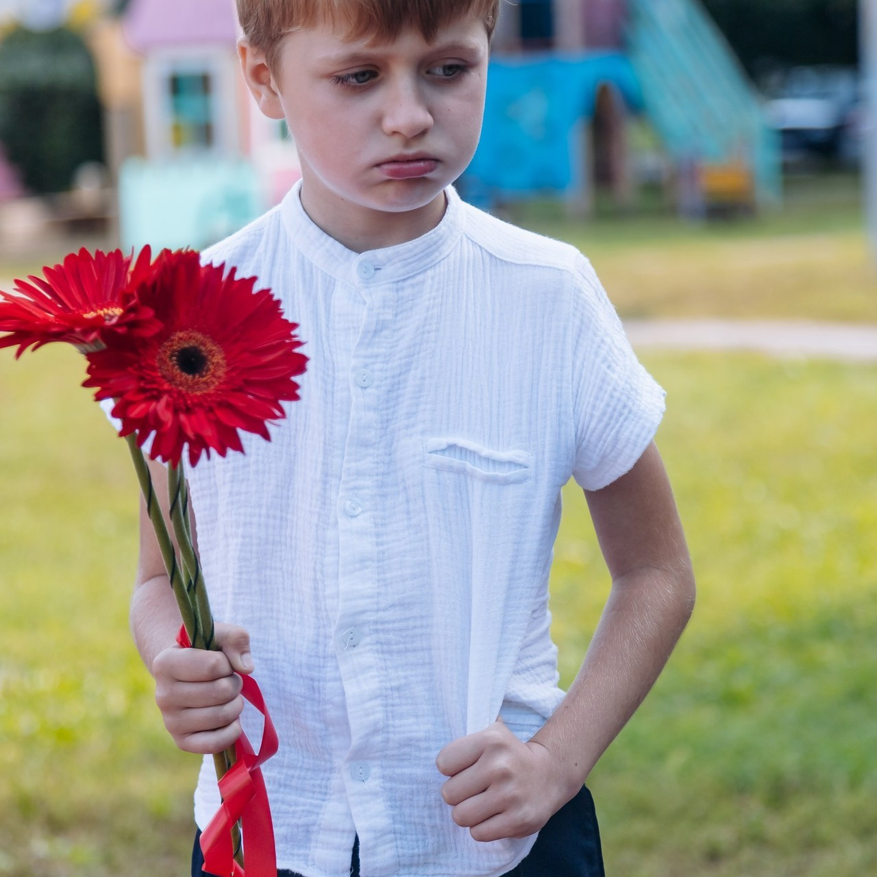 Отзывы. Romashka photo