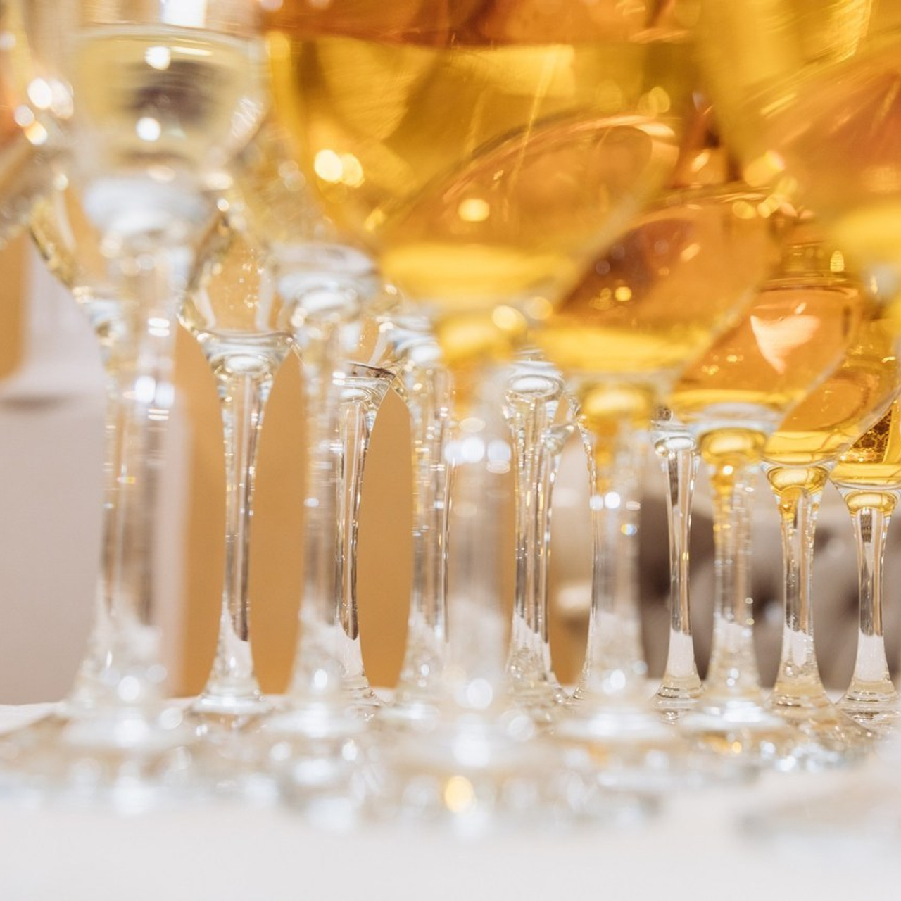 Отзывы. Romashka photo