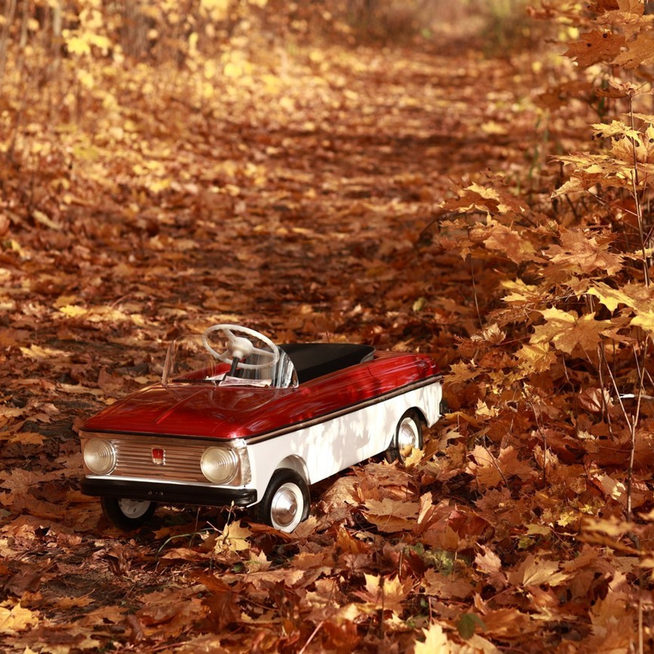 Отзывы. Фотограф Москва и Московская область