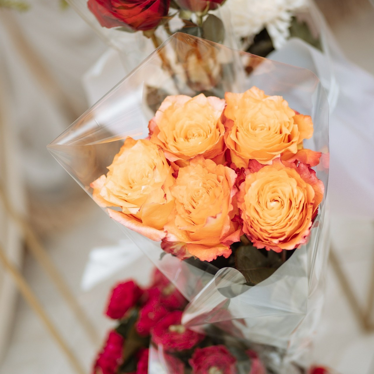 Отзывы. Фотограф Москва и Московская область