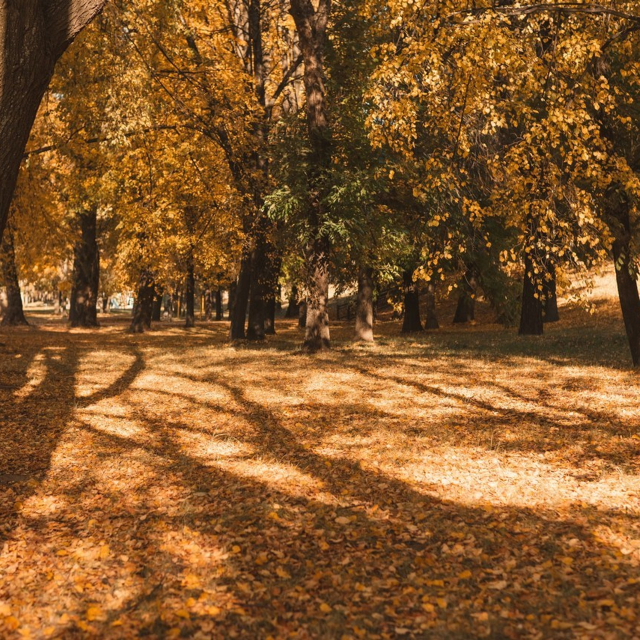 Отзывы. Профессиональный фотограф в Ярославле и Москве, Филинская Анастасия