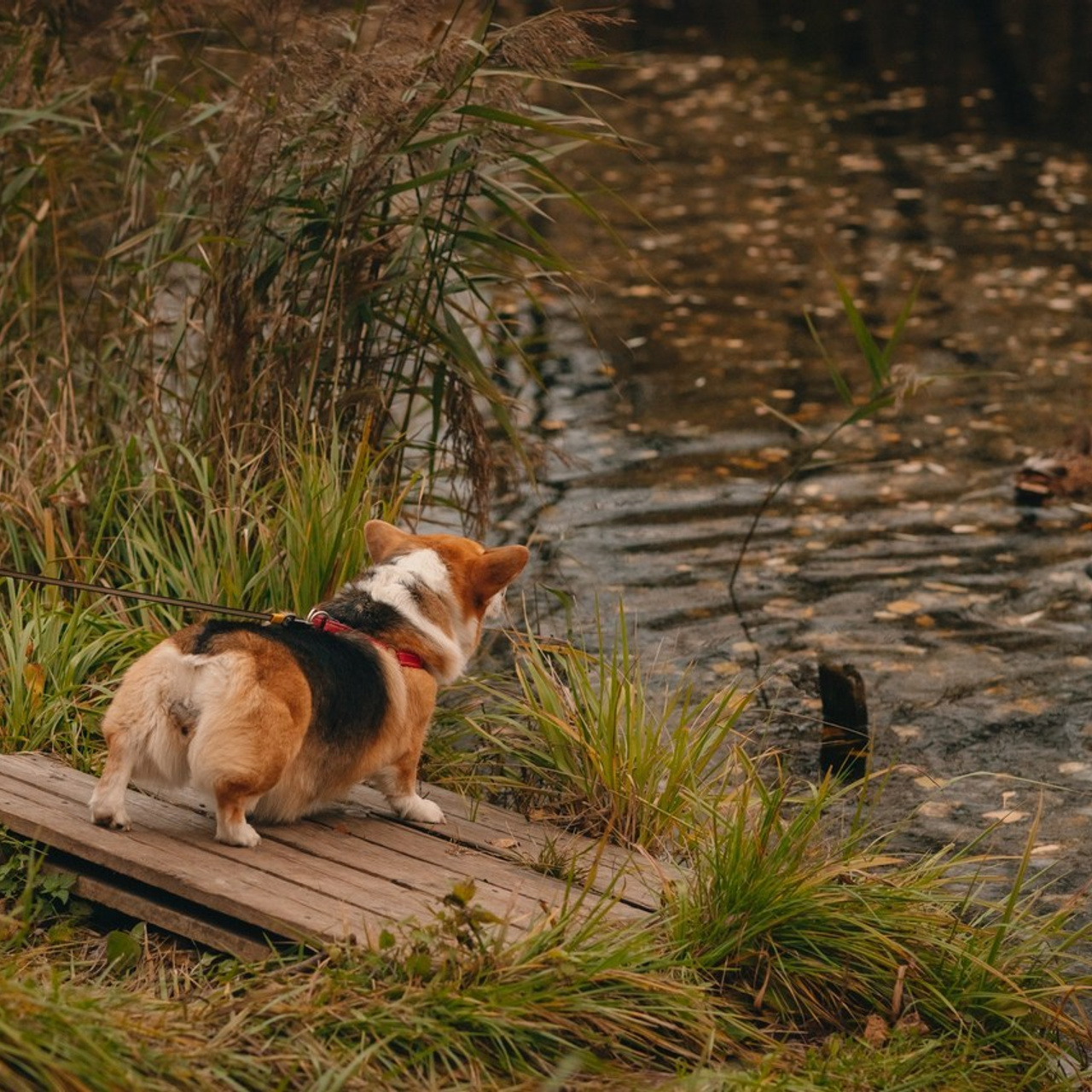 Отзывы. Профессиональный фотограф в Ярославле и Москве, Филинская Анастасия