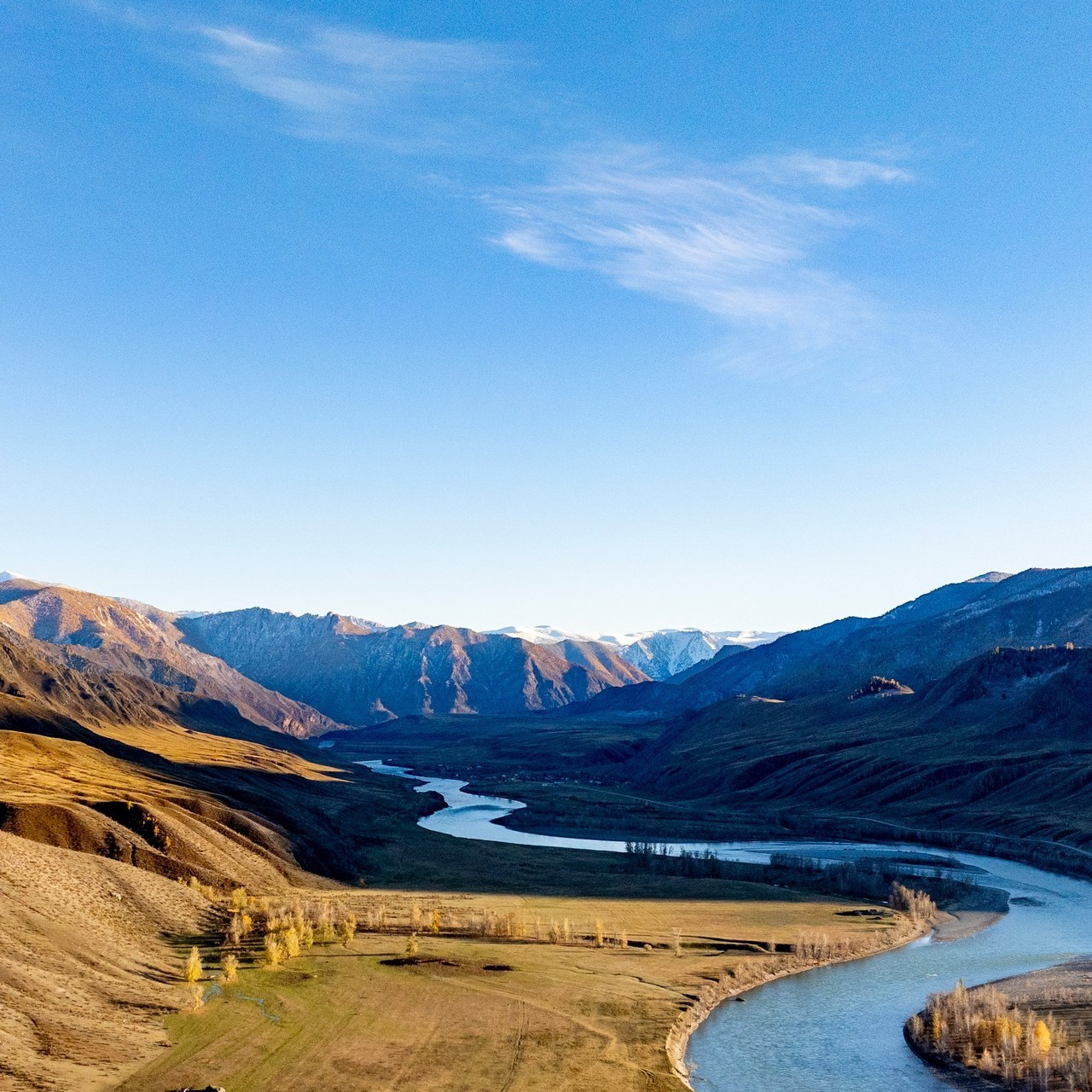 Отзывы. Dmitry Golenko