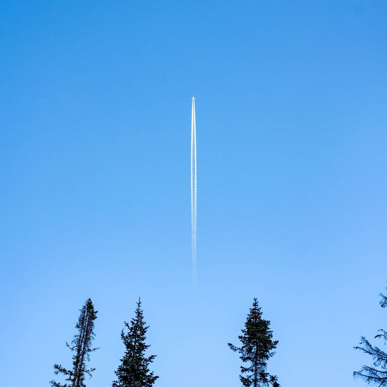 Отзывы. Dmitry Golenko