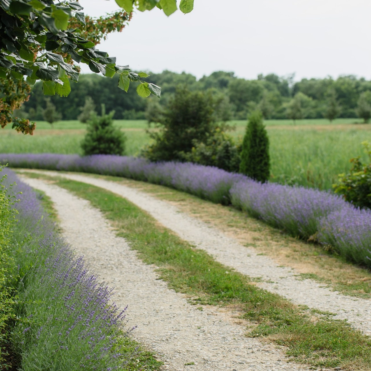 Отзывы. Фотостудия и фотограф в Майкопе — ProfessionalFoto