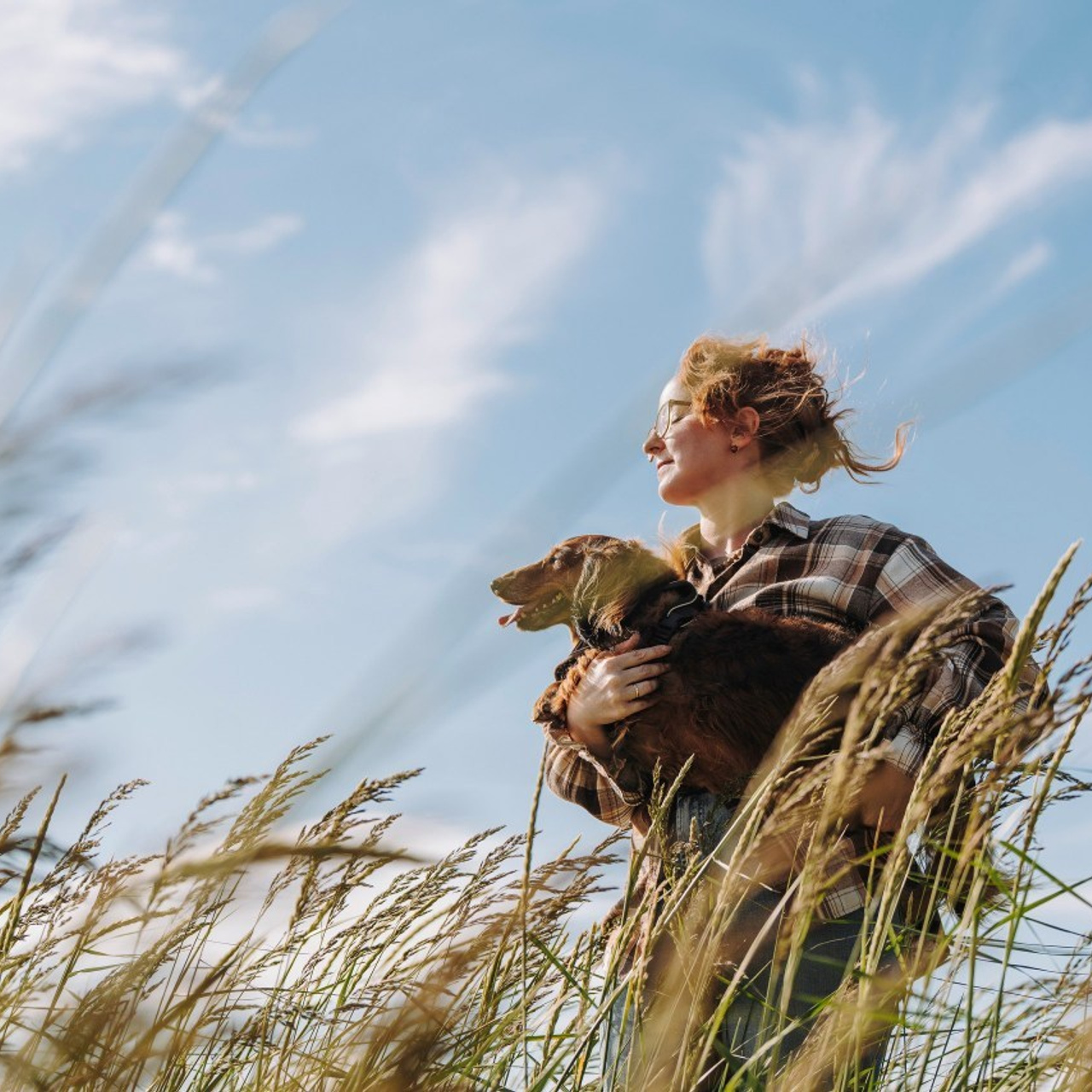 Отзывы о работе фотографа анималиста Спб. Фотограф анималист в Спб недорого Олеся Майорова