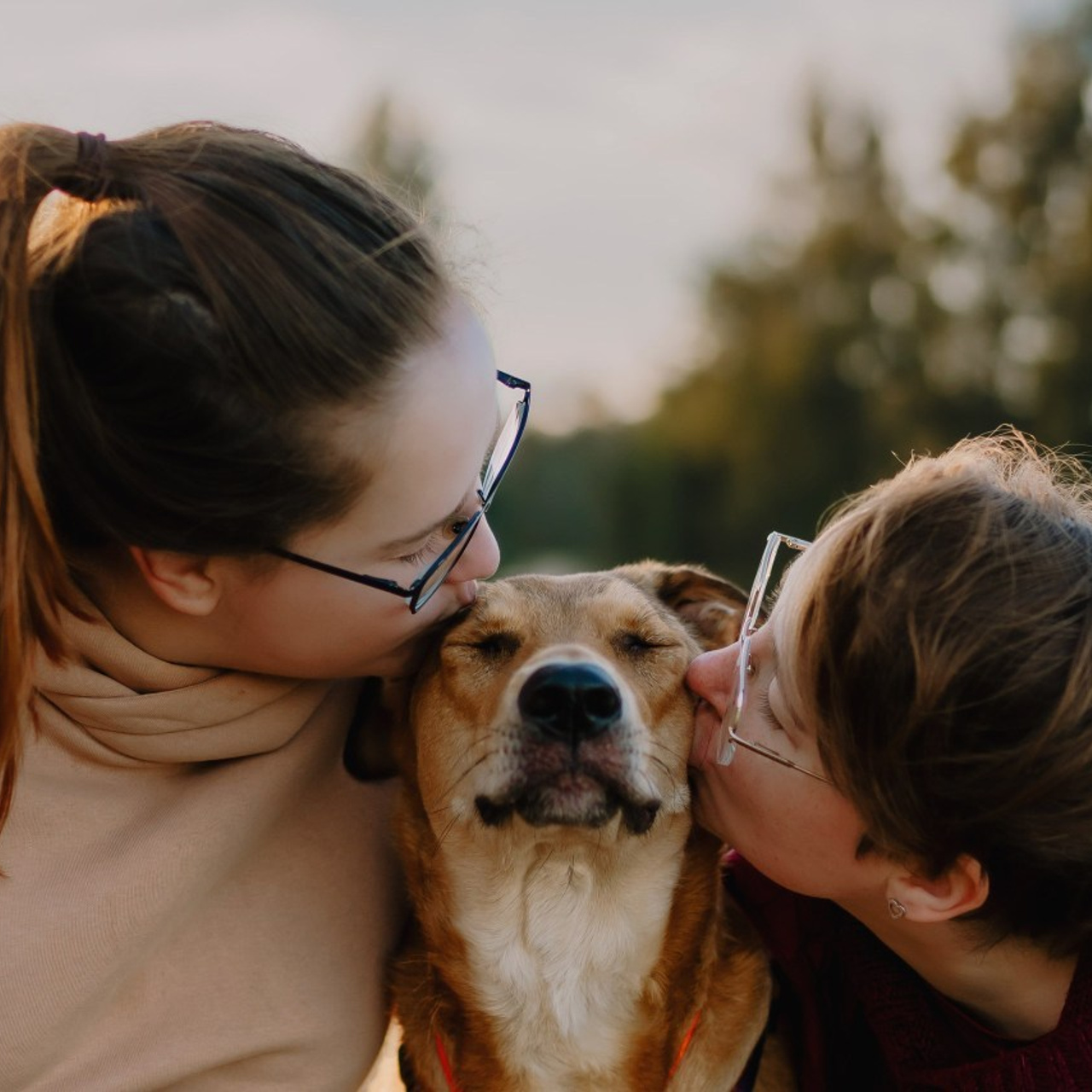 Отзывы о работе фотографа анималиста Спб. Фотограф анималист в Спб недорого Олеся Майорова