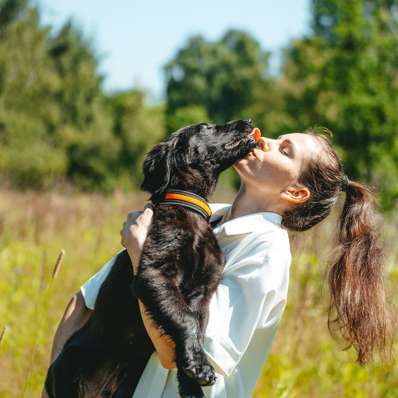 Отзывы о работе фотографа анималиста Спб. Фотограф анималист в Спб недорого Олеся Майорова