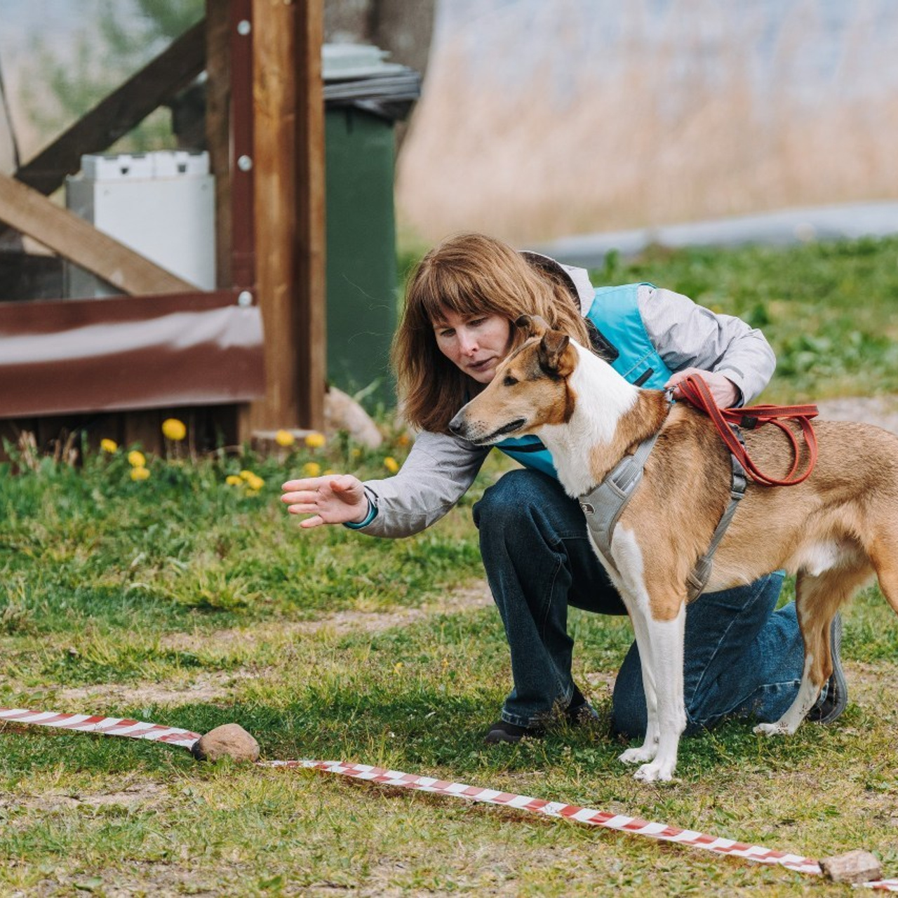 Отзывы о работе фотографа анималиста Спб. Фотограф анималист в Спб недорого Олеся Майорова