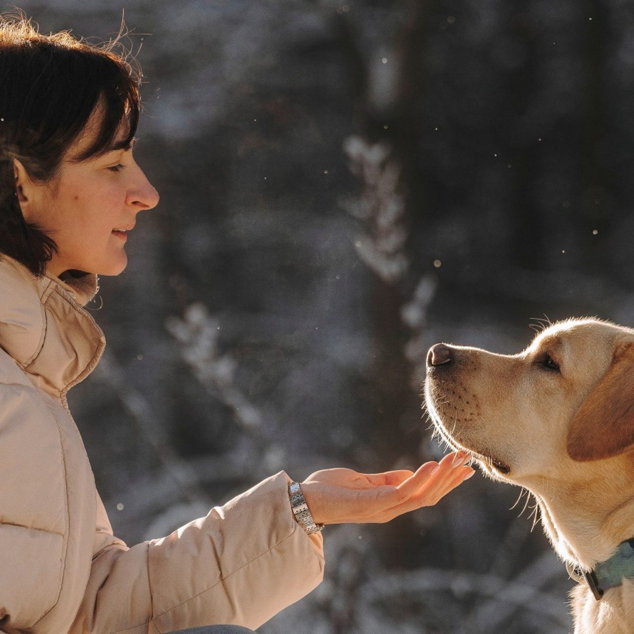 Отзывы о работе фотографа анималиста Спб. Фотограф анималист в Спб недорого Олеся Майорова