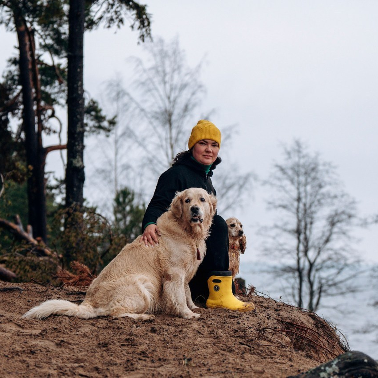 Отзывы о работе фотографа анималиста Спб. Фотограф анималист в Спб недорого Олеся Майорова