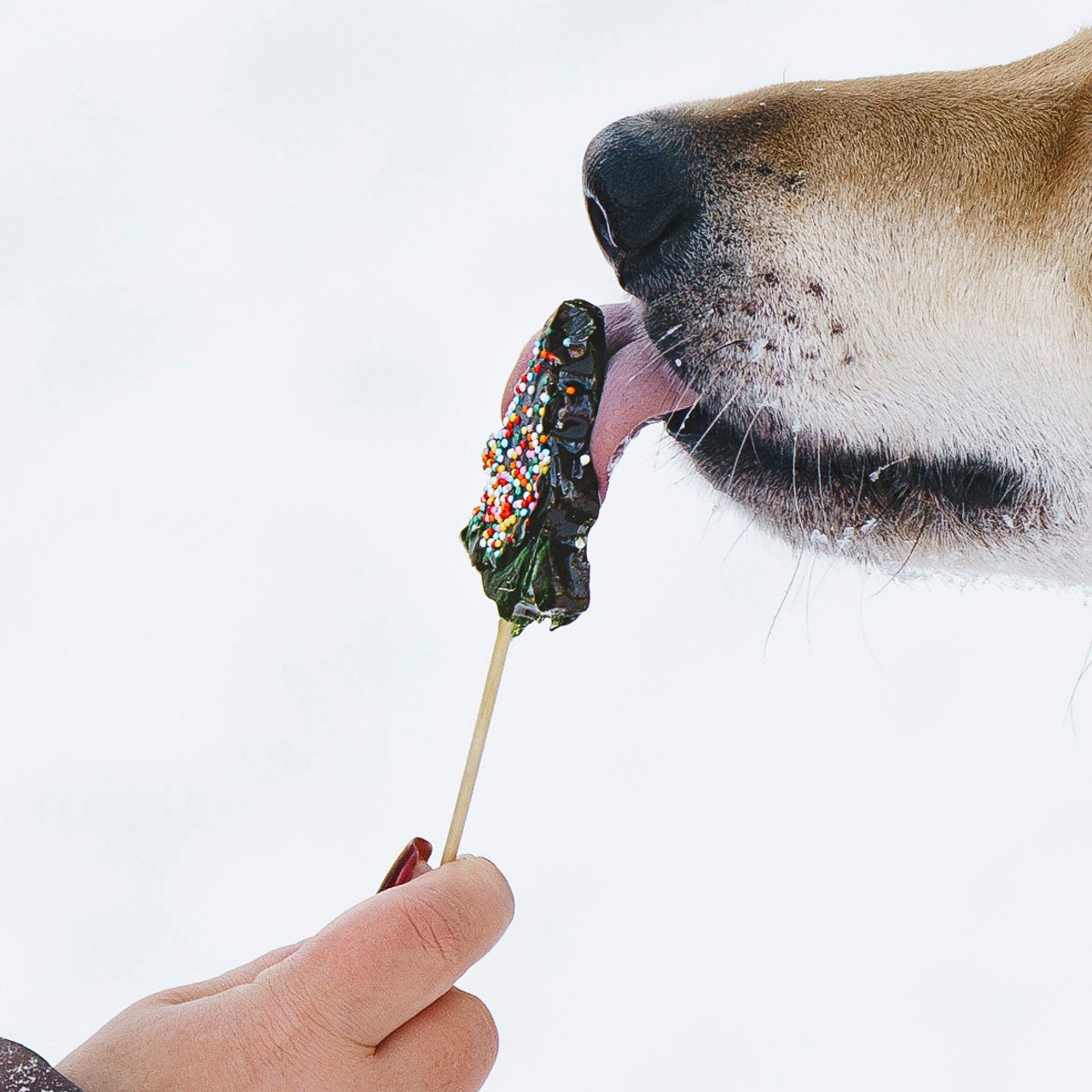 Рэй, Кузя, Ольга и Александр