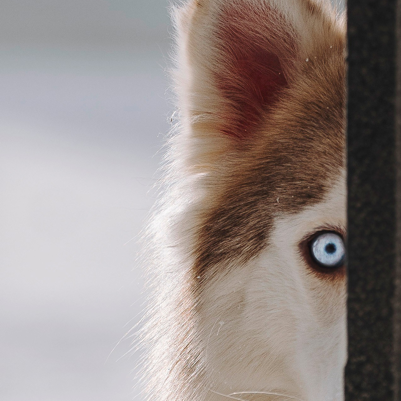 Мария и&nbsp;Амелия