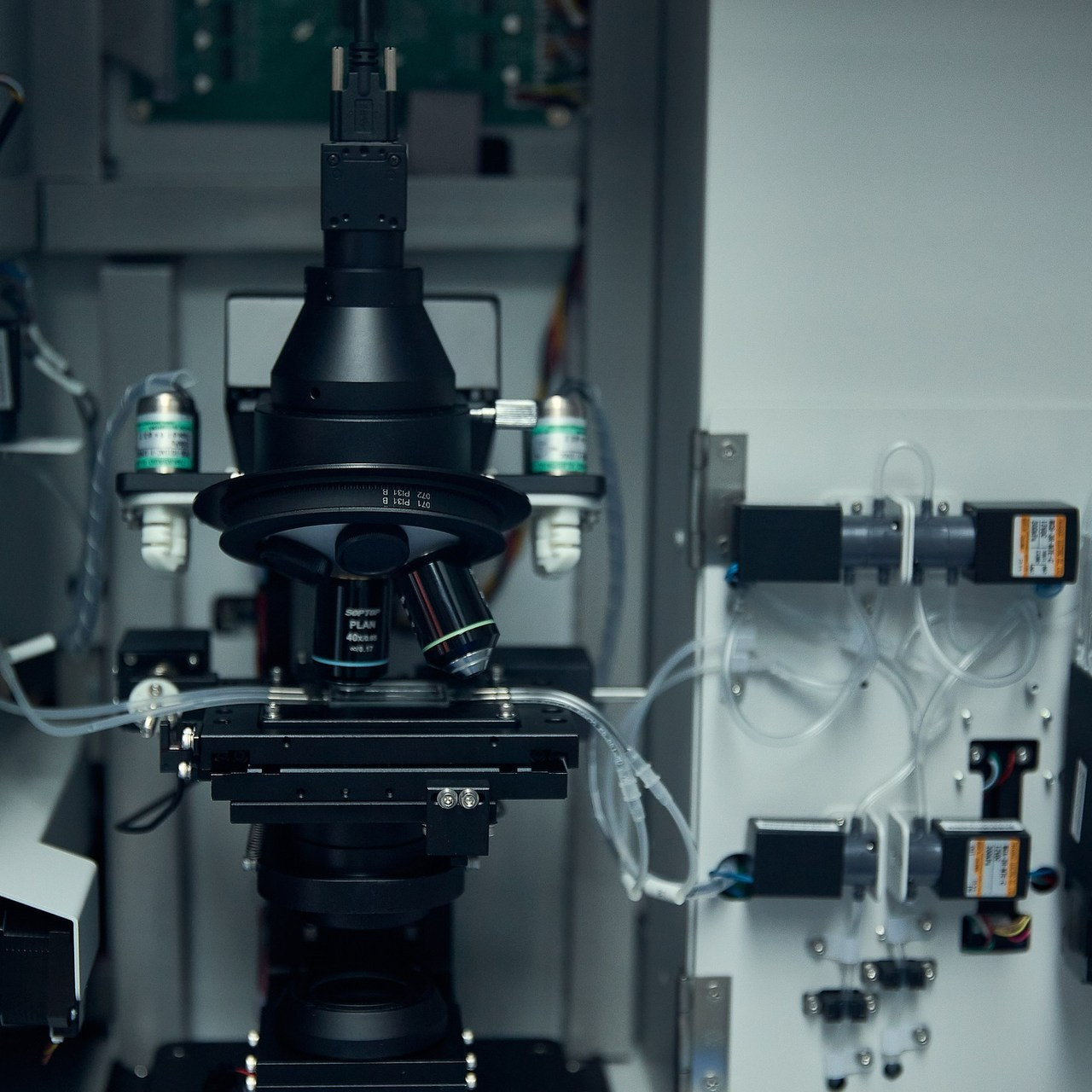 Отзывы. Портретный и репортажный фотограф в Астане Роман Григоров