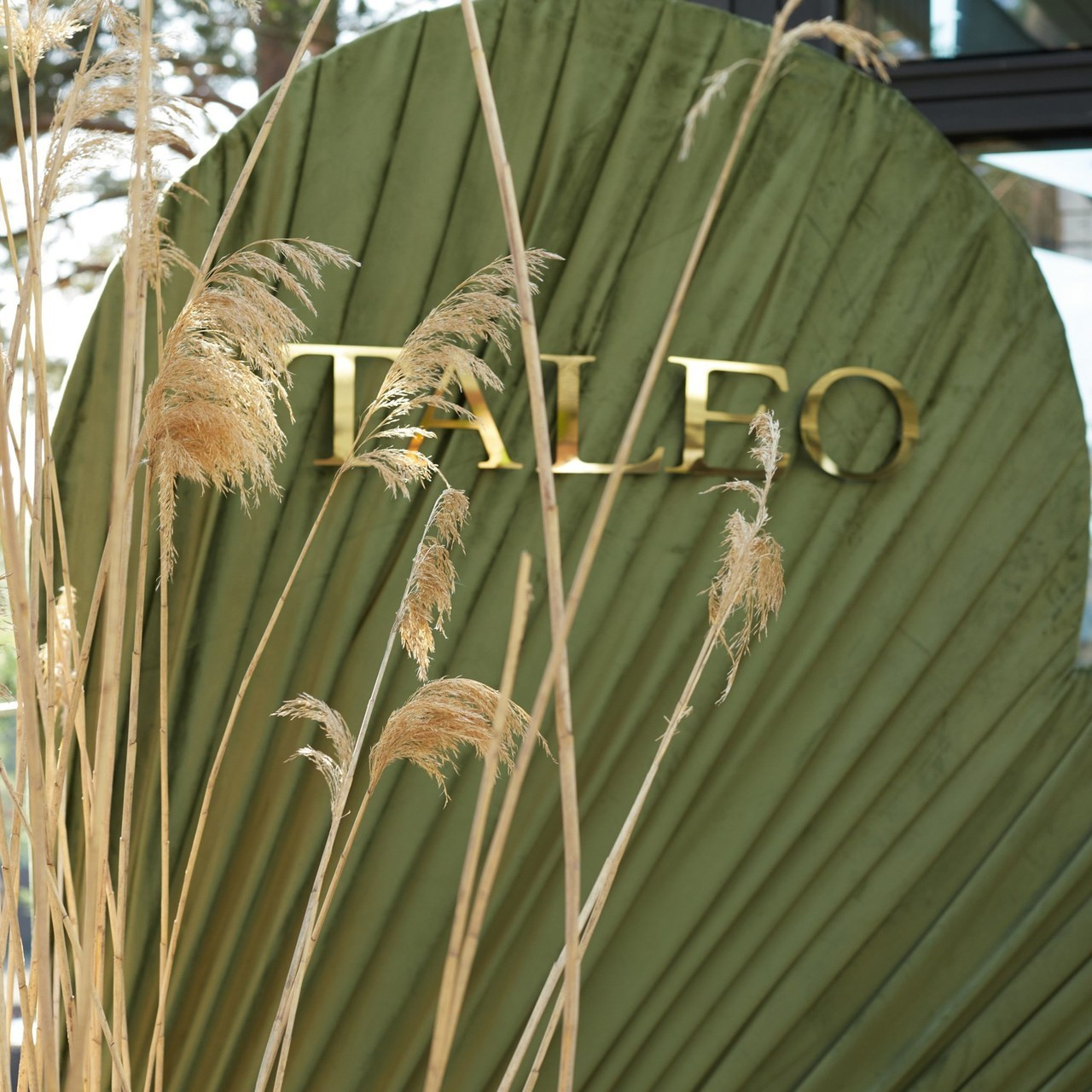 Отзывы. Фотограф Санкт-Петербург / Петрозаводск