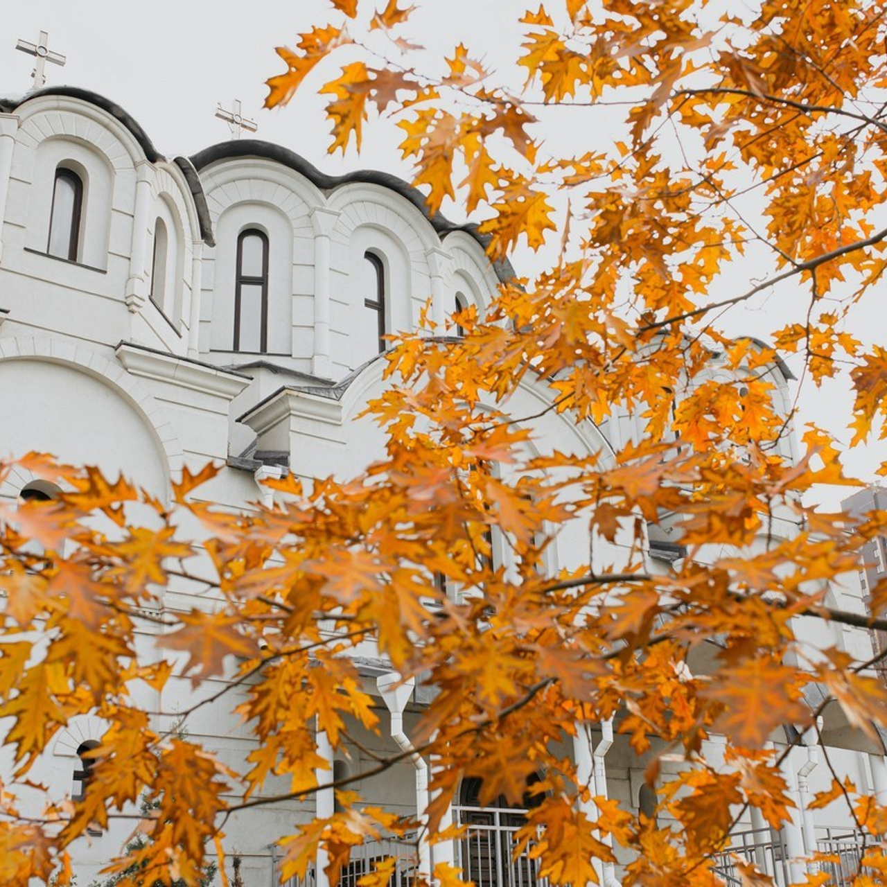 Отзывы. Свадебный и семейный фотограф