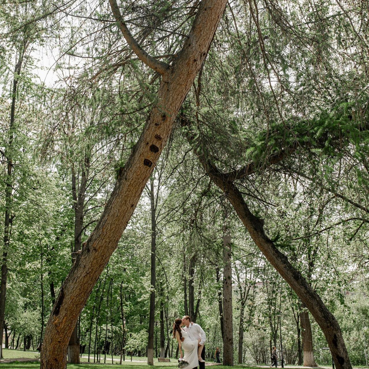 Отзывы. Свадебный и семейный фотограф