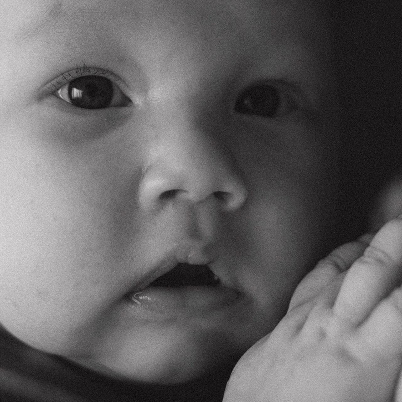 Отзывы. Фотограф семей в домашних условиях