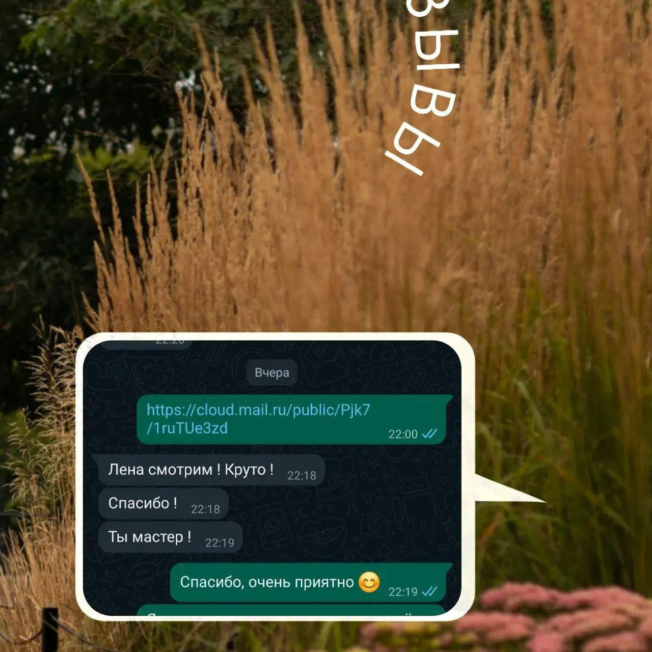Отзывы. Семейный и детский фотограф в Санкт-Петербурге Павлова Елена