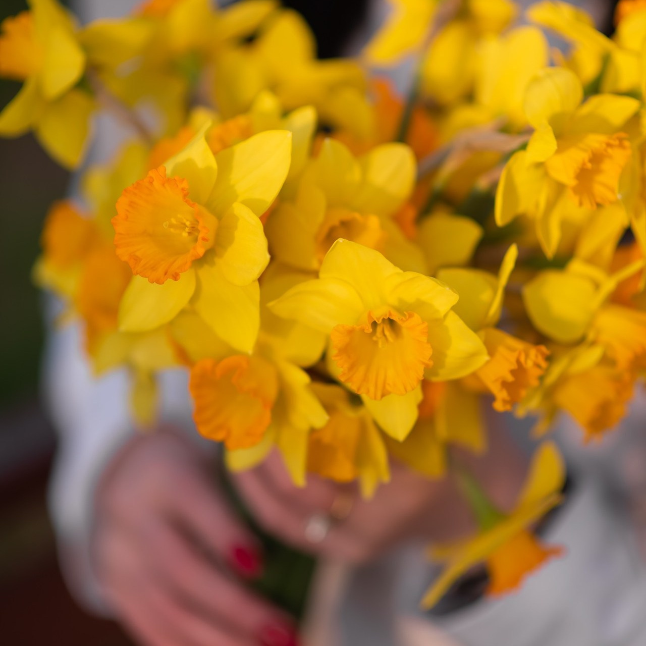 Отзывы. Семейный и женский фотограф Лоо Краснодар Сочи Энем Татьяна Трибурт