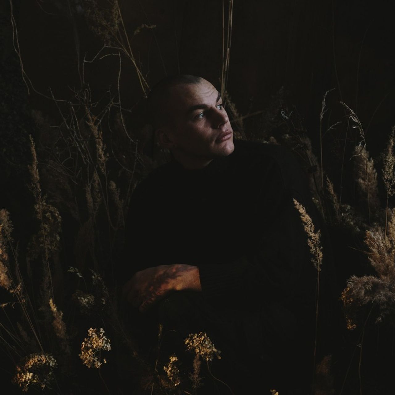 Вы пишете. IraLaik