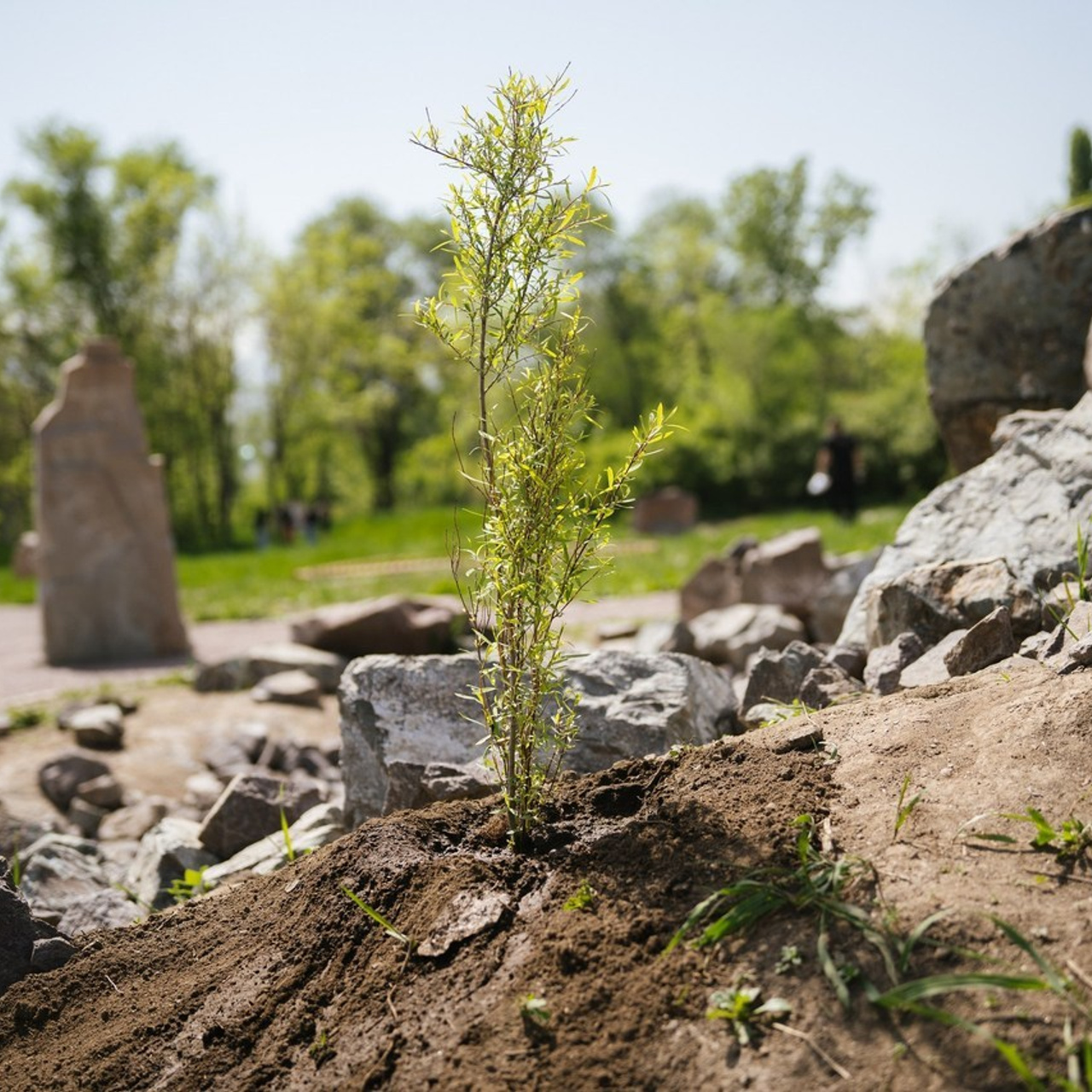 Отзывы. Фотограф в Алматы Марина Меликова