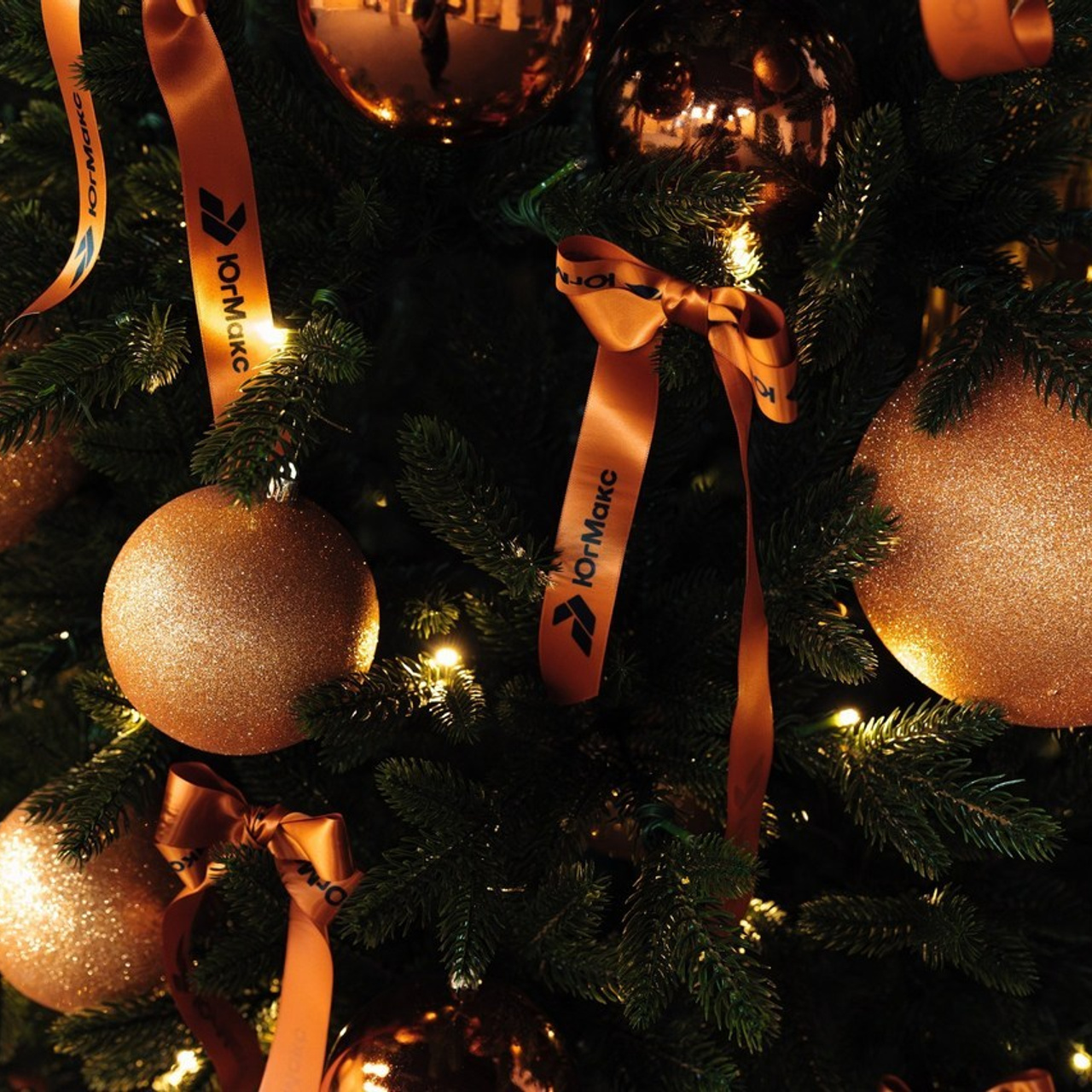 Отзывы фотографа в Новороссийске