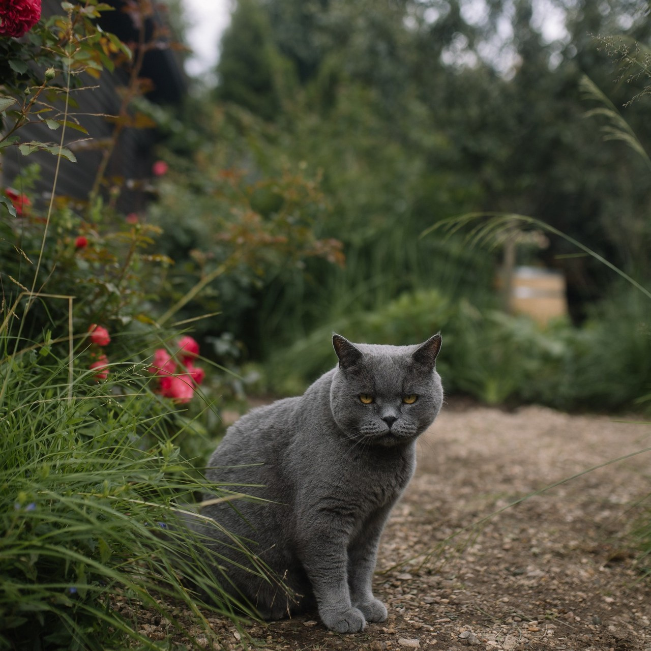 Отзывы. Кристина Киссер |Фотограф | сняла ⩾ 2000 съёмок | главная по атмосфере