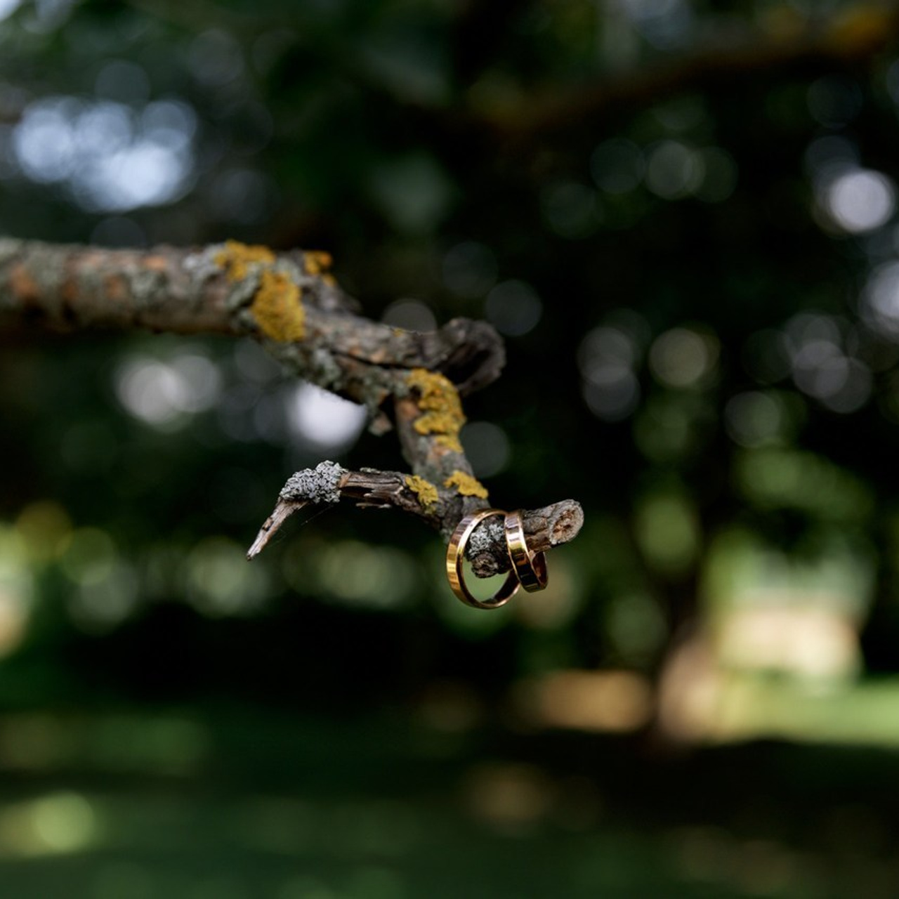 Отзывы. Свадебный и семейный фотограф в Ульяновске Орешина Елена