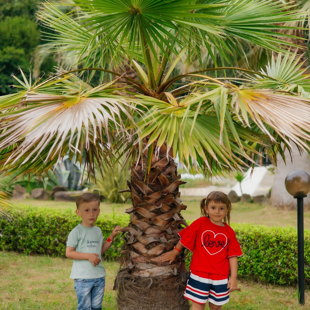 Отзывы об услугах компании Fotix - Сочи. Услуги фотографа в Сочи