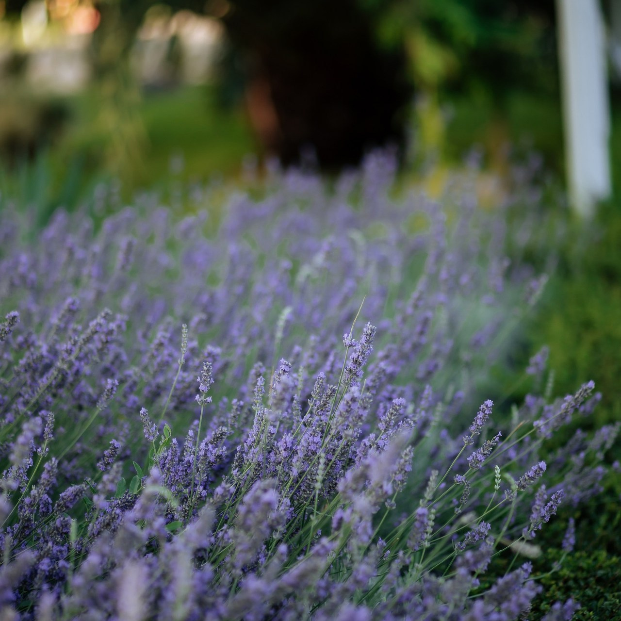 Отзывы об услугах компании Fotix - Сочи. Услуги фотографа в Сочи