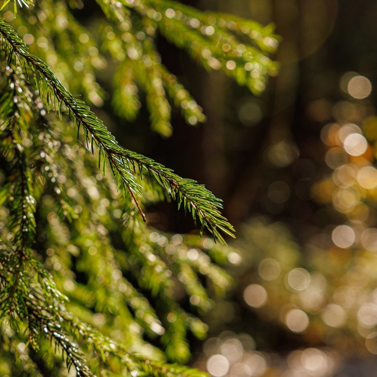 Отзывы. Портретный фотограф Панферова Регина г. Санкт-Петербург, г. Казань